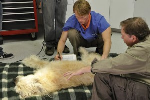 Photo of I Examine Lacee with Leo Grillo From the DELTA Rescue