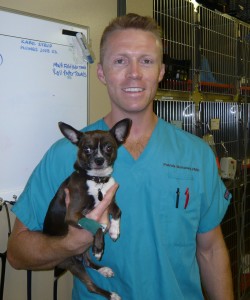 Photo of Lou, from The Soup, is a Patient at TLC Pet Medical Center in West Hollywood