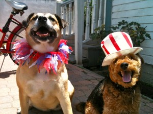 Photo of Daisy and Cardiff Model Their 4th of July Outfits