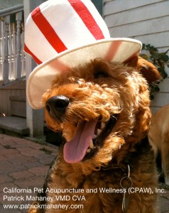 Photo of Cardiff 4th of July Holiday Hat