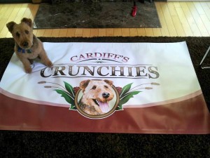 Photo of Cardiff with Cardiff's Crunchies Banner