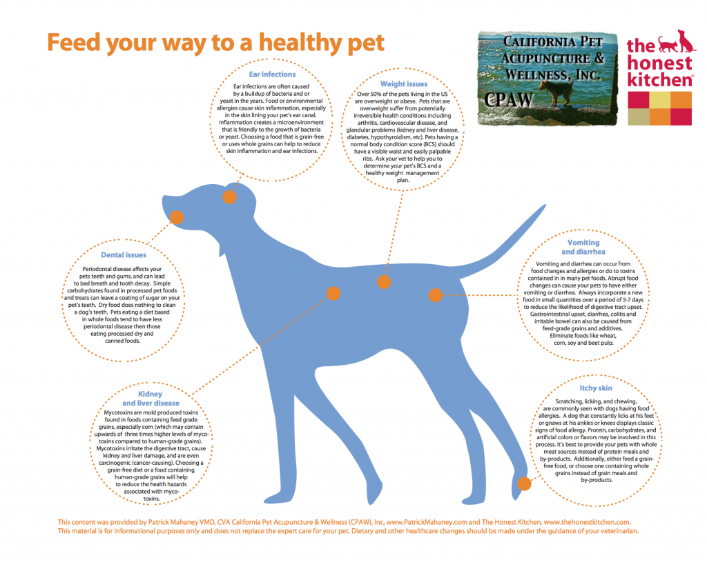 Photo of Honest Kitchen California Pet Acupuncture and Wellness (CPAW) Inc. Holistic Pet Infographic