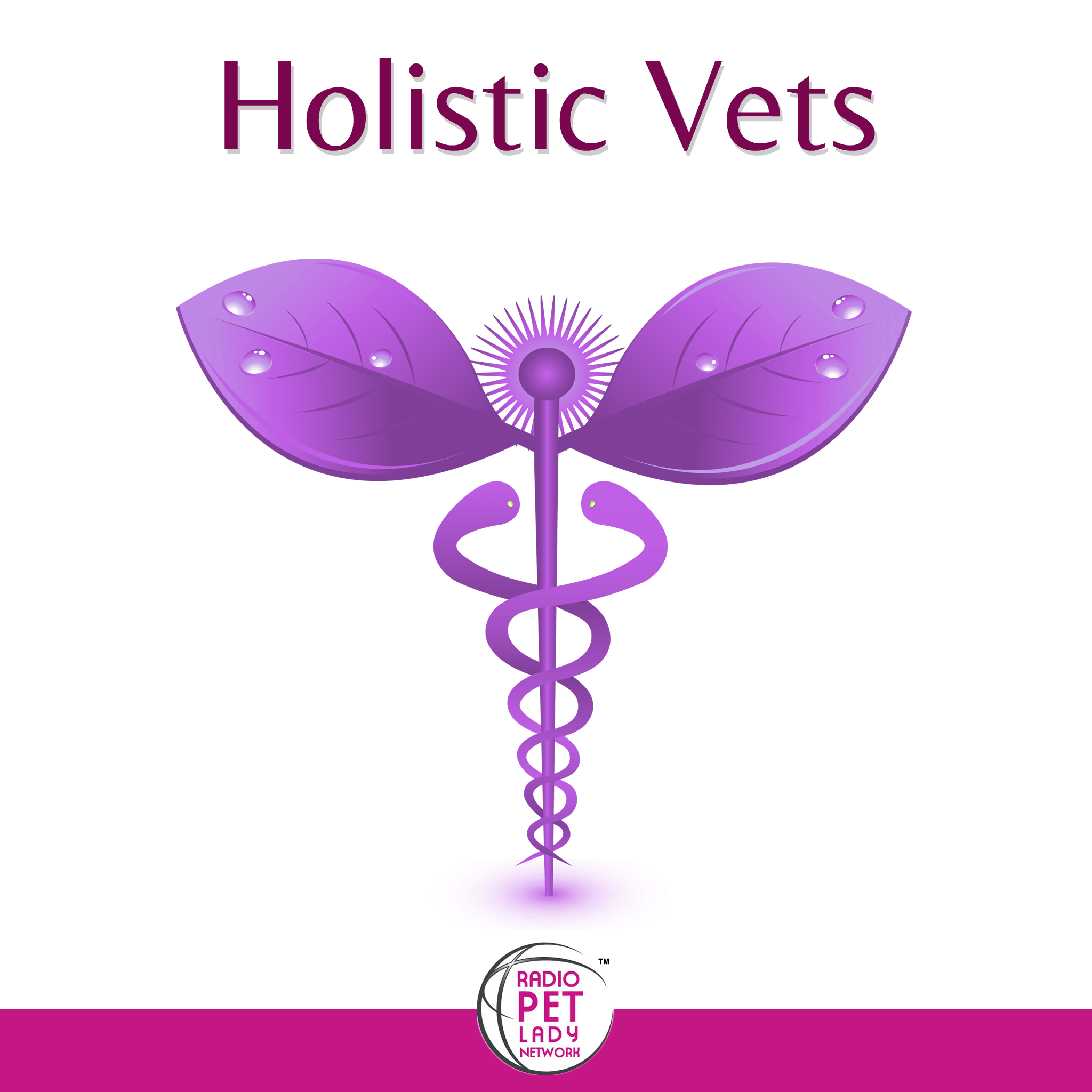 holistic vets