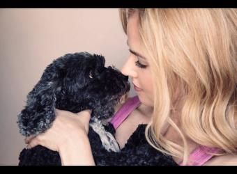 Dr. Patrick Mahaney Interviews Amanda Schull for the ElleVet Sciences Pets In Need Project