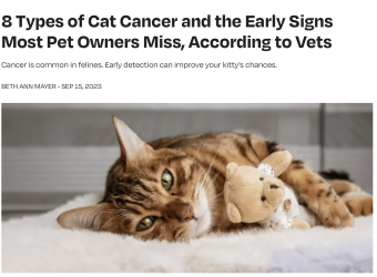 Dr. Patrick Mahaney Talks Feline Cancer for Parade Magazine