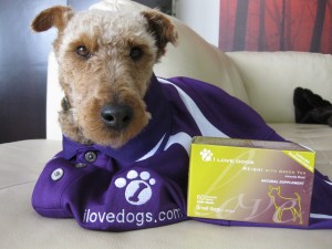 Photo of Cardiff models his i Love Dogs shirt and Reishi supplement
