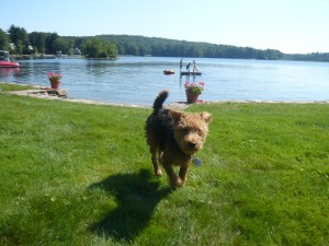 Taking a Break From My Lake Watch Duty Photo of Taking a Break From My Lake Watch Duty