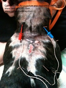 Photo Of Buddha Receives Electroacupuncture Across His Wounds