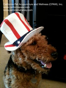 Photo of I Love My Fourth of July Hat