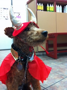 Handsome Little Devil Costume Halloween 2010