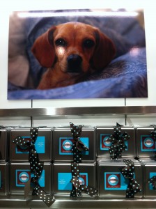 Miss Lilly Photo Above MLTC Gift Tins Photo of Miss Lilly Photo Above MLTC Gift Tins