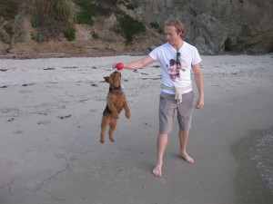 Photo of Airborne Cardiff on the Beach