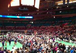 Photo of Rhodesian Ridgeback and Old English Sheepdog Compete at WKC