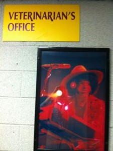 Photo of WKC Vet Office Over Jimmy Hendrix