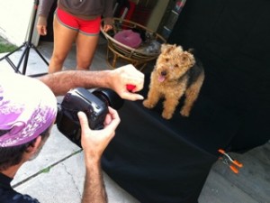 Cardiff Michael Brian Photo Mr Martian Squeaky Toy Photo of Cardiff Michael Brian Photo Mr Martian Squeaky Toy