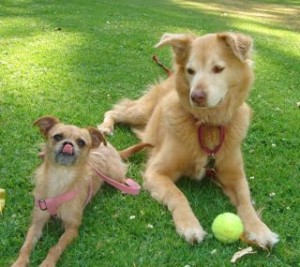 Photo of Georgia and Maggie Martin