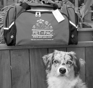 Photo of Shanna Australian Shepherd Pet Pac