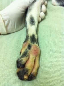 Coquetta Foot Healing DELTA Photo of Coquetta Foot Healing DELTA