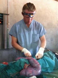 Photo of Dr Patrick Mahaney Pregnant Spay Surgery