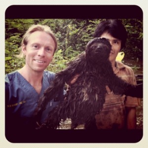 photo of pm black sloth peru