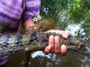 Photo of woman monkey alligator Peru