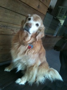 Photo of Riley Sit Glass Door Reflection