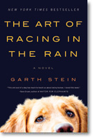Photo of The Art of Racing In The Rain Cover