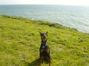 Photo of Kit By the Sea