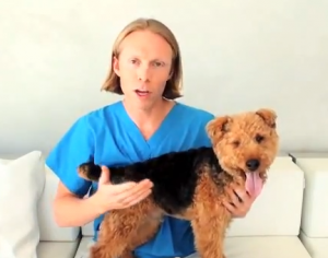 Photo of Dr Patrick Mahaney and Cardiff Discuss Summertime Canine Coat Care