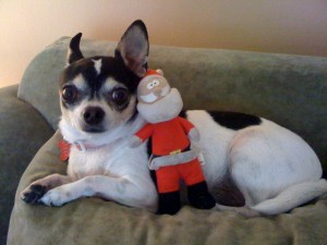 Photo of Poppa Celebrates The Holidays With Santa