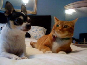 Poppa And Pumpkin Are Partners In Crime Photo of Poppa And Pumpkin Are Partners In Crime