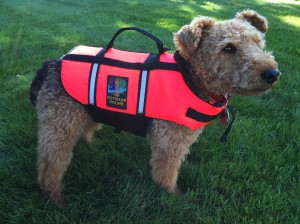 Photo of Cardiff Outward Hound Life Vest