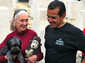 Photo of Jane Godall Los Angeles Mayor Anthony Villaraigosa Strut Your Mutt