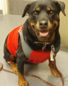 Photo of Trixie Red Shirt Smiling