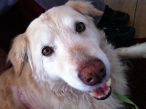 Photo of Quinn Acupuncture Patient