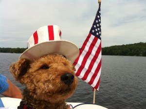 Photo of Cardiff Red White Blue