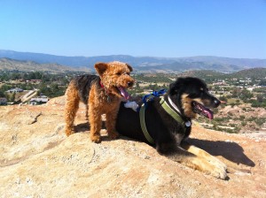 Photo of Cardiff Mercury Vasquez Rocks