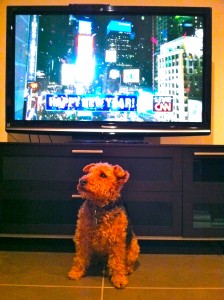 Photo of Cardiff New Year's Eve CNN