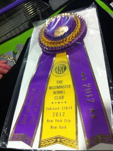 Photo of Martha Stewart Chow Chow Ghengis Kahn Best of Breed Ribbon Westminster 2012