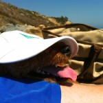 Photo of Cardiff Hat Beach Santa Barbara