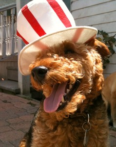 Cardiff red white stripe hat