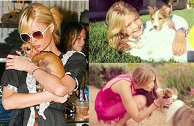 pet-memorial-instagram.lg