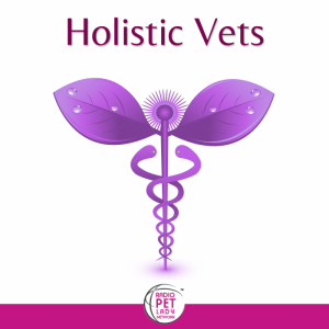 holisticvets-cover3-m5hy6zaxkwirg1om187377rrfnx9bqdpmjgi6kf1p4