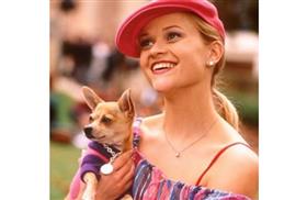 Legally-Blonde-Chihuahua_.lg
