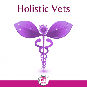 holisticvets-cover3-m5hy6zap1wzq60kh4u4wenv86afupfvofzcb4r2hhc