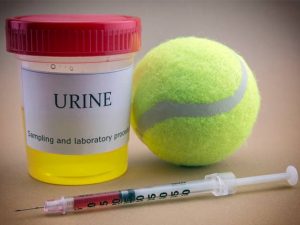 urine-testing-pets-cancer-517538170