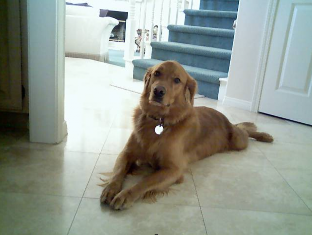 rusty-marcher-tile-floor