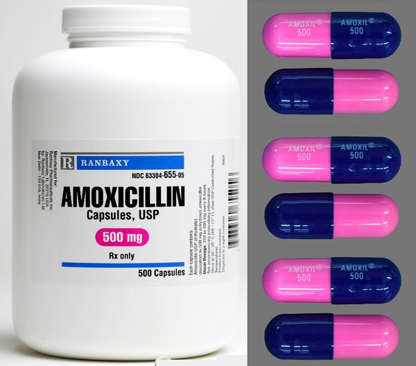 Can Dogs Have Amoxicillin?